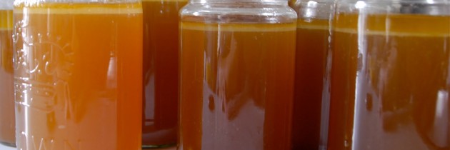 Angelique’s Bone Broth