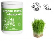 Organic-Burst-Wheatgrass-Powder-60g-0-0